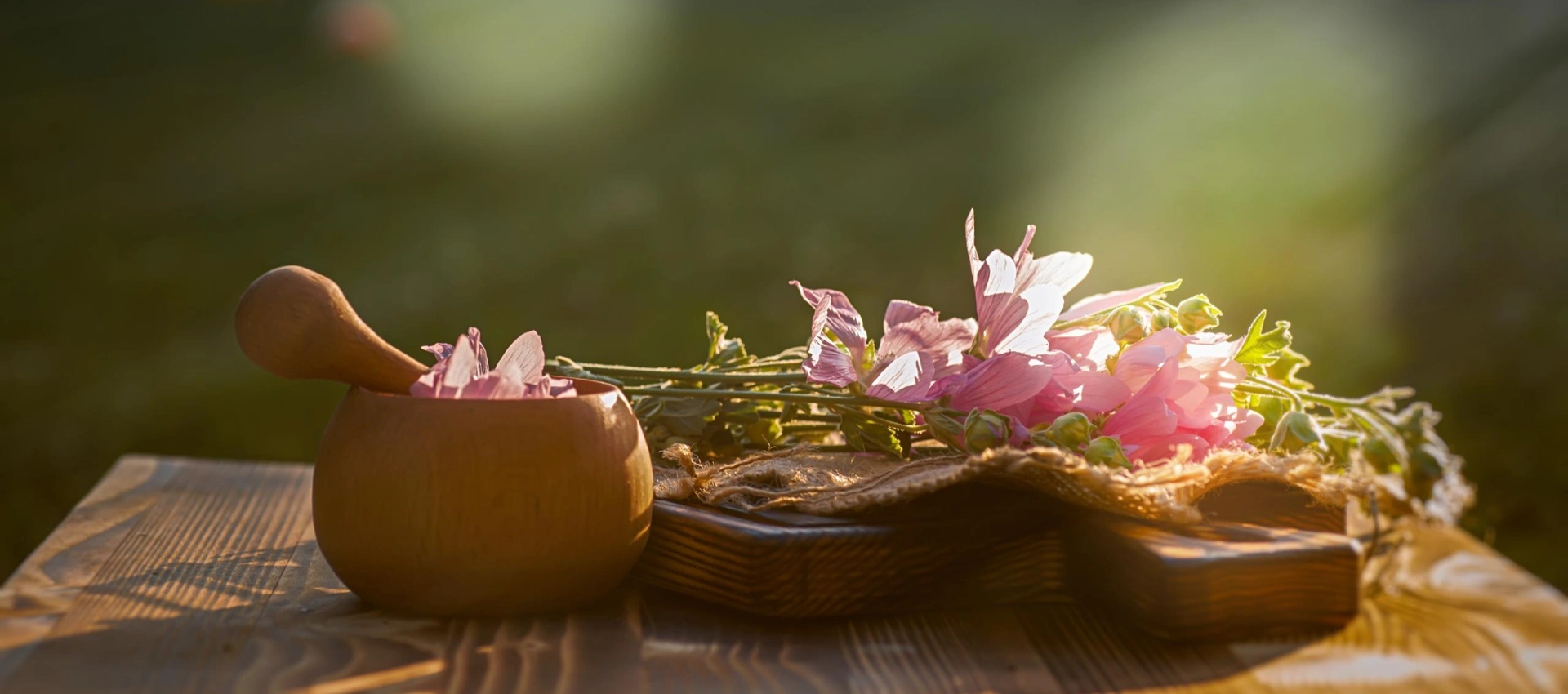 Wellness Treatment